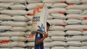 hingga-17-januari-stok-beras-bulog-mencapai-854947-ton